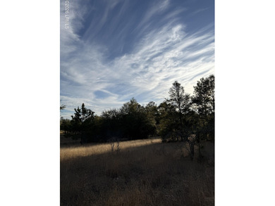 Savannah River Acreage For Sale in Garnett South Carolina