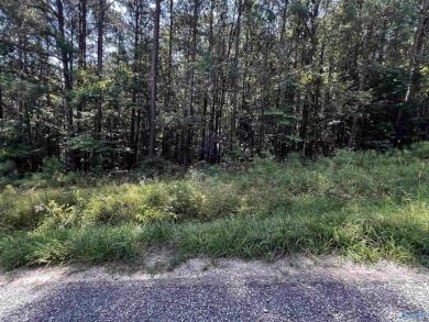 Lake Lot For Sale in Leesburg, Alabama