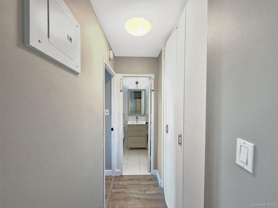 1 Bedroom Apartment for Sale in Forest Hills NY - Fully - photo 13