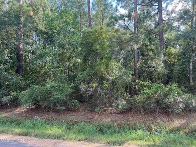 Build your home or weekend get-a-way on this deep water canal - photo 2
