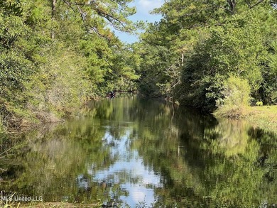 Build your home or weekend get-a-way on this deep water canal - photo 3