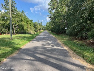 Build your home or weekend get-a-way on this deep water canal - photo 4