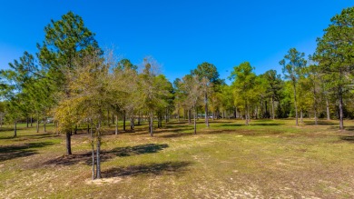 (private lake, pond, creek) Acreage For Sale in Paxton Florida
