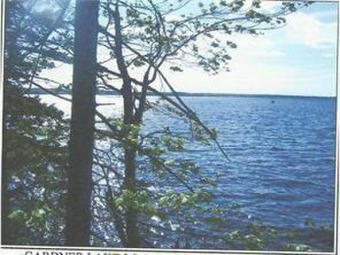 Gardner Lake Acreage For Sale in Whiting Maine