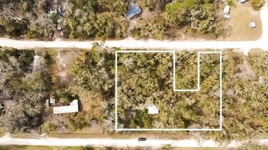 Suwannee River Lot For Sale in Old Town Florida