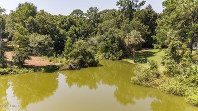 Discover the beauty and tranquility of this 6+ acre lot on - photo 12