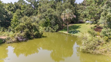 Discover the beauty and tranquility of this 6+ acre lot on - photo 13