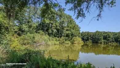 Discover the beauty and tranquility of this 6+ acre lot on - photo 18