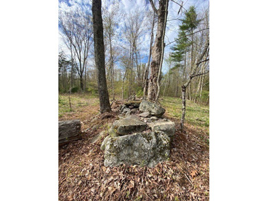NEW PRICE! EVER DREAM OF YOUR VERY OWN POND! Skip some rocks - photo 2