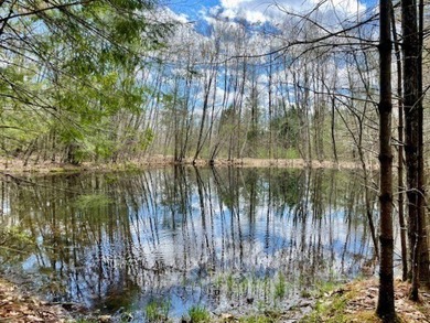 NEW PRICE! EVER DREAM OF YOUR VERY OWN POND! Skip some rocks - photo 3