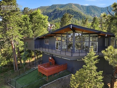 Architecturally striking and beautifully reimagined, this Frank - photo 47