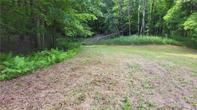 Lake Acreage For Sale in Cumberland, Wisconsin