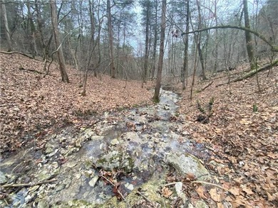 Buffalo River Acreage For Sale in Jasper Arkansas