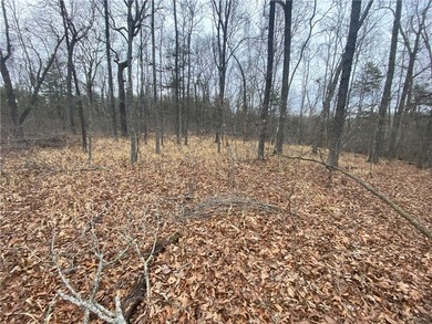 +/-60 acres with great views of the surrounding mountains in - photo 2