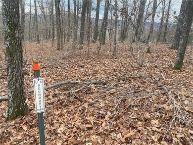 +/-60 acres with great views of the surrounding mountains in - photo 3