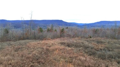 +/-60 acres with great views of the surrounding mountains in - photo 4