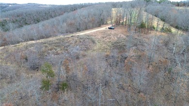 +/-60 acres with great views of the surrounding mountains in - photo 5