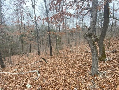 +/-60 acres with great views of the surrounding mountains in - photo 6