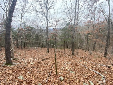 +/-60 acres with great views of the surrounding mountains in - photo 7