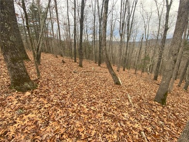 +/-60 acres with great views of the surrounding mountains in - photo 8