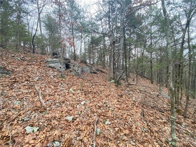 +/-60 acres with great views of the surrounding mountains in - photo 9