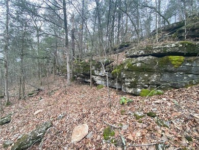 +/-60 acres with great views of the surrounding mountains in - photo 10
