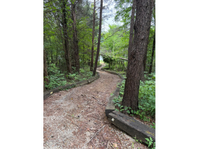 8 Lots with MH and Boat Garage!  Dock possible - photo 3