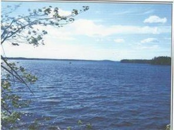 Lake Acreage For Sale in Whiting, Maine