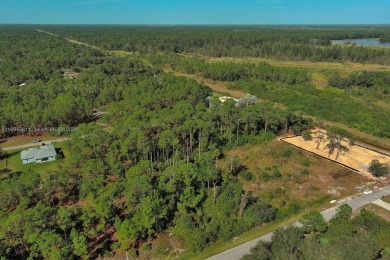 Lehigh Acres Area Lot For Sale in Lehigh Acres Florida