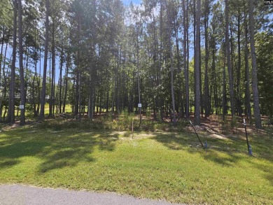 Lake Lot For Sale in Prosperity, South Carolina