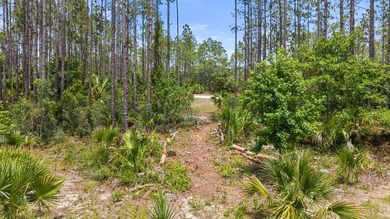 Looking for privacy, acreage, and room to roam? This like-new - photo 28