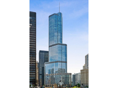 Lake Michigan - Cook County Condo For Sale in Chicago Illinois