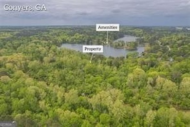 2 ACRES OF LAND LOCATED AT THE AMAZING LAKE CAPRI COMMUNITY! - photo 4