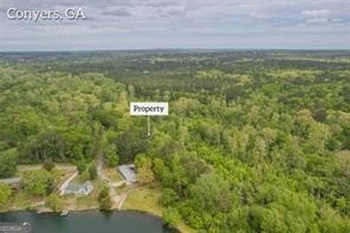 2 ACRES OF LAND LOCATED AT THE AMAZING LAKE CAPRI COMMUNITY! - photo 5
