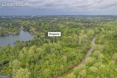 2 ACRES OF LAND LOCATED AT THE AMAZING LAKE CAPRI COMMUNITY! - photo 7