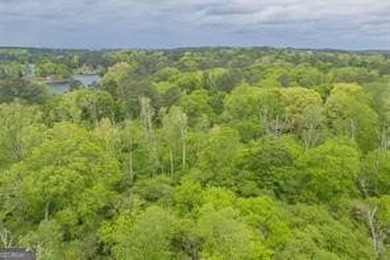 2 ACRES OF LAND LOCATED AT THE AMAZING LAKE CAPRI COMMUNITY! - photo 10