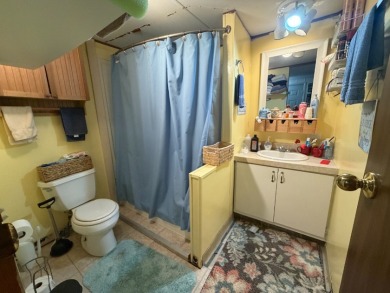 8 Lots with MH and Boat Garage!  Dock possible - photo 9