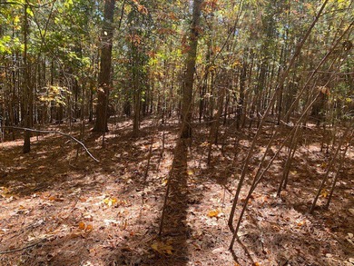 The Cliffs at Keowee Springs is the areas most sought after - photo 7