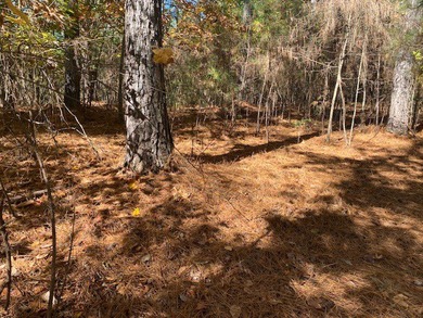 The Cliffs at Keowee Springs is the areas most sought after - photo 8