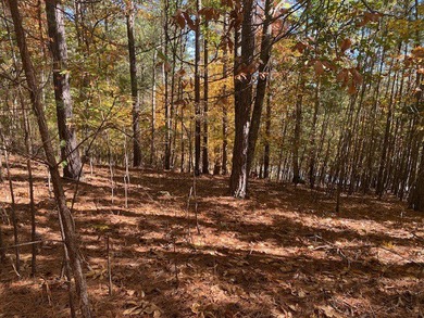 The Cliffs at Keowee Springs is the areas most sought after - photo 9