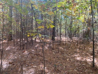 The Cliffs at Keowee Springs is the areas most sought after - photo 10