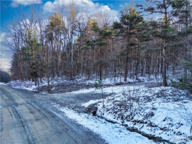 (private lake, pond, creek) Acreage For Sale in Ellicottville New York