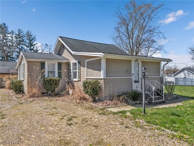 Chippewa Lake Home For Sale in Chippewa Lake Ohio