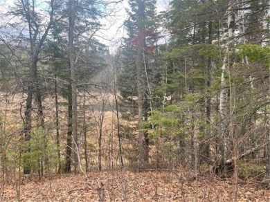 Leech Lake Lot For Sale in Shingobee Twp Minnesota