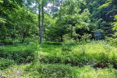 North Fork Holston River Acreage For Sale in Bristol Virginia