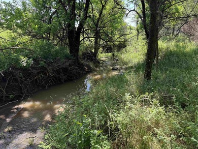 This 40.4 acre tract sits in a prime outdoor recreational - photo 11