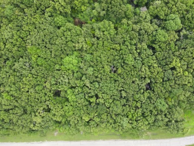 2 acre Wooded Lot in The Shores at Richland Chambers Lake - photo 24