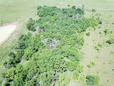 This 40.4 acre tract sits in a prime outdoor recreational - photo 12