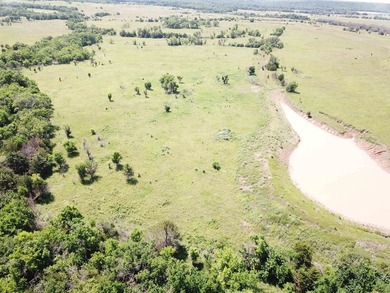 This 40.4 acre tract sits in a prime outdoor recreational - photo 13