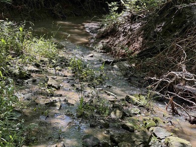 This 40.4 acre tract sits in a prime outdoor recreational - photo 14